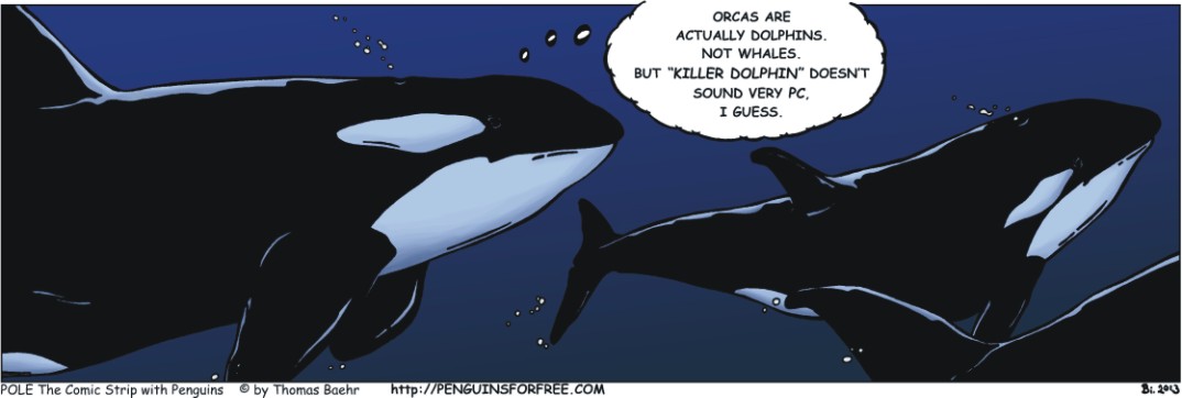 Moby Dick: Borrelpraat